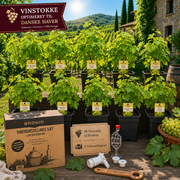 DEN STORE PAKKE - Hvidvin (10 vinstokke)