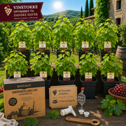 DEN STORE PAKKE - Rødvin (10 vinstokke)