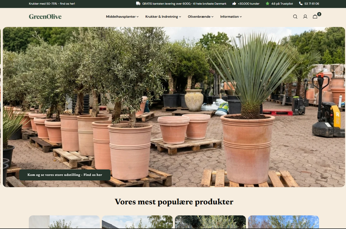 GreenOlive.dk forside